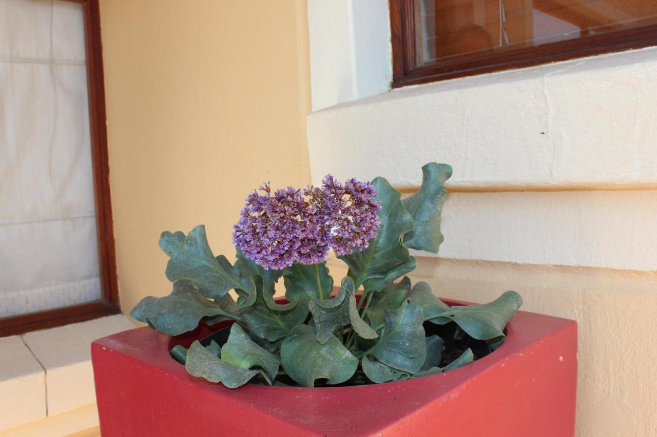 Topaz Cove Luxury Villas Edenvale Eksteriør billede